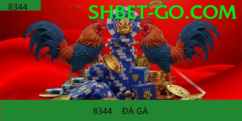 Trường Đấu Đá Gà Chuyên Nghiệp - Xếp hạng