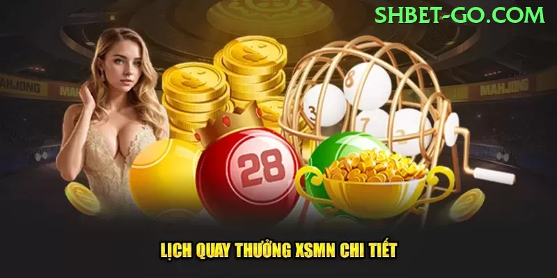 Tudo Sobre c81: Guia Atualizado Para 2024 - pro