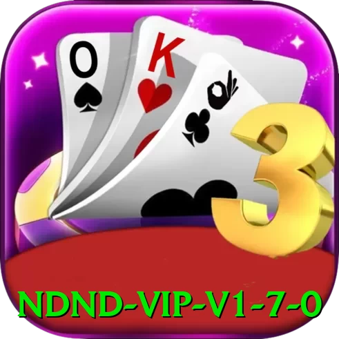 ndnd VIP v1.7.0 - vip